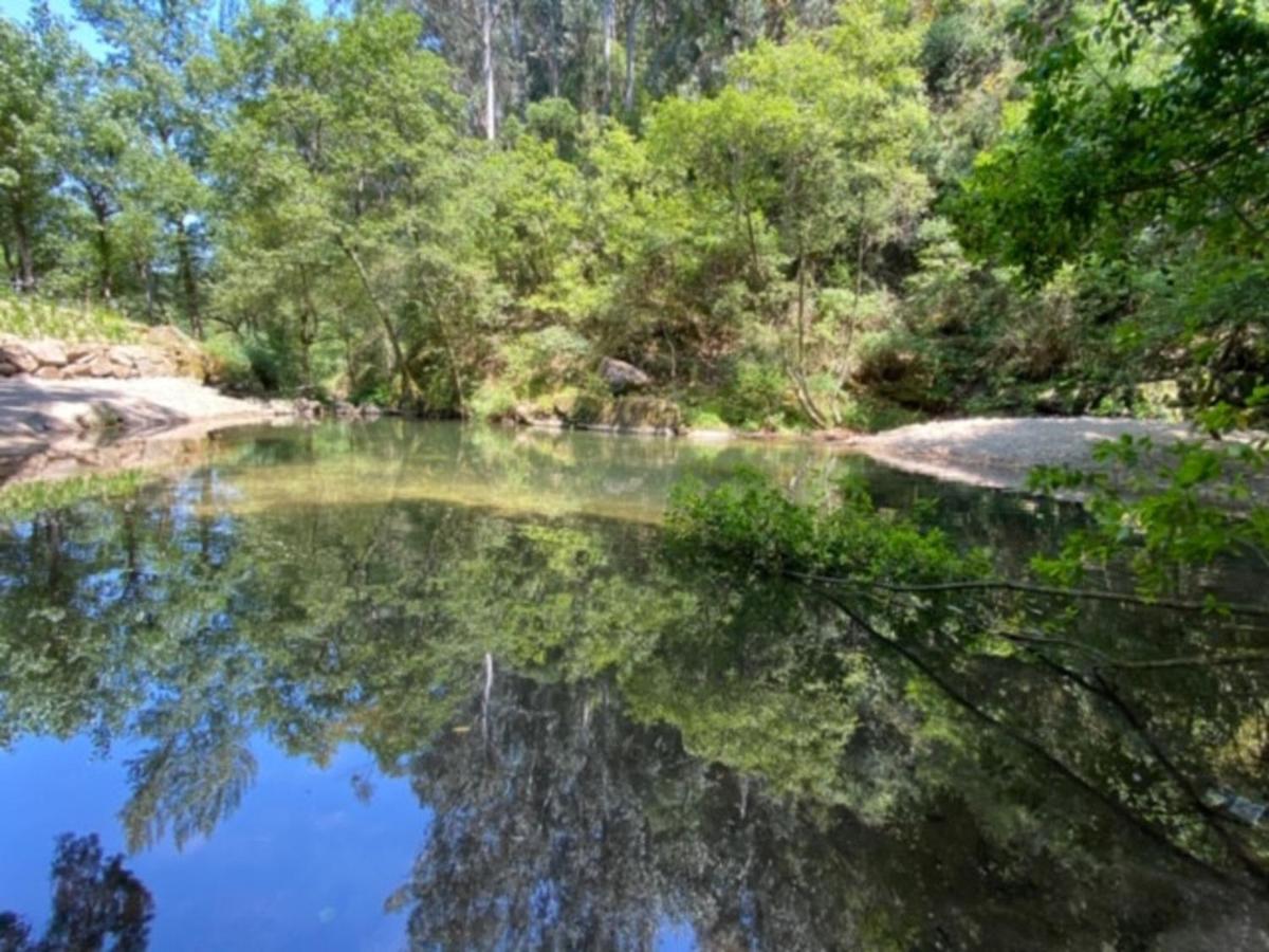 Encosta Do Douro - Rio Douro Villa Синфаес Екстериор снимка