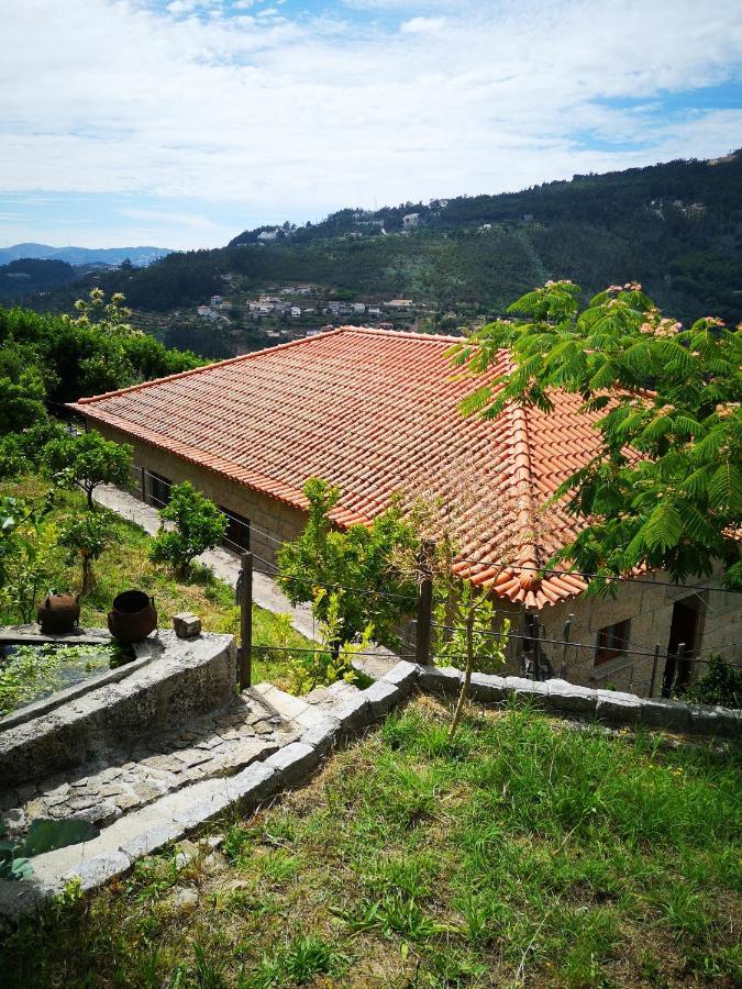 Encosta Do Douro - Rio Douro Villa Синфаес Екстериор снимка