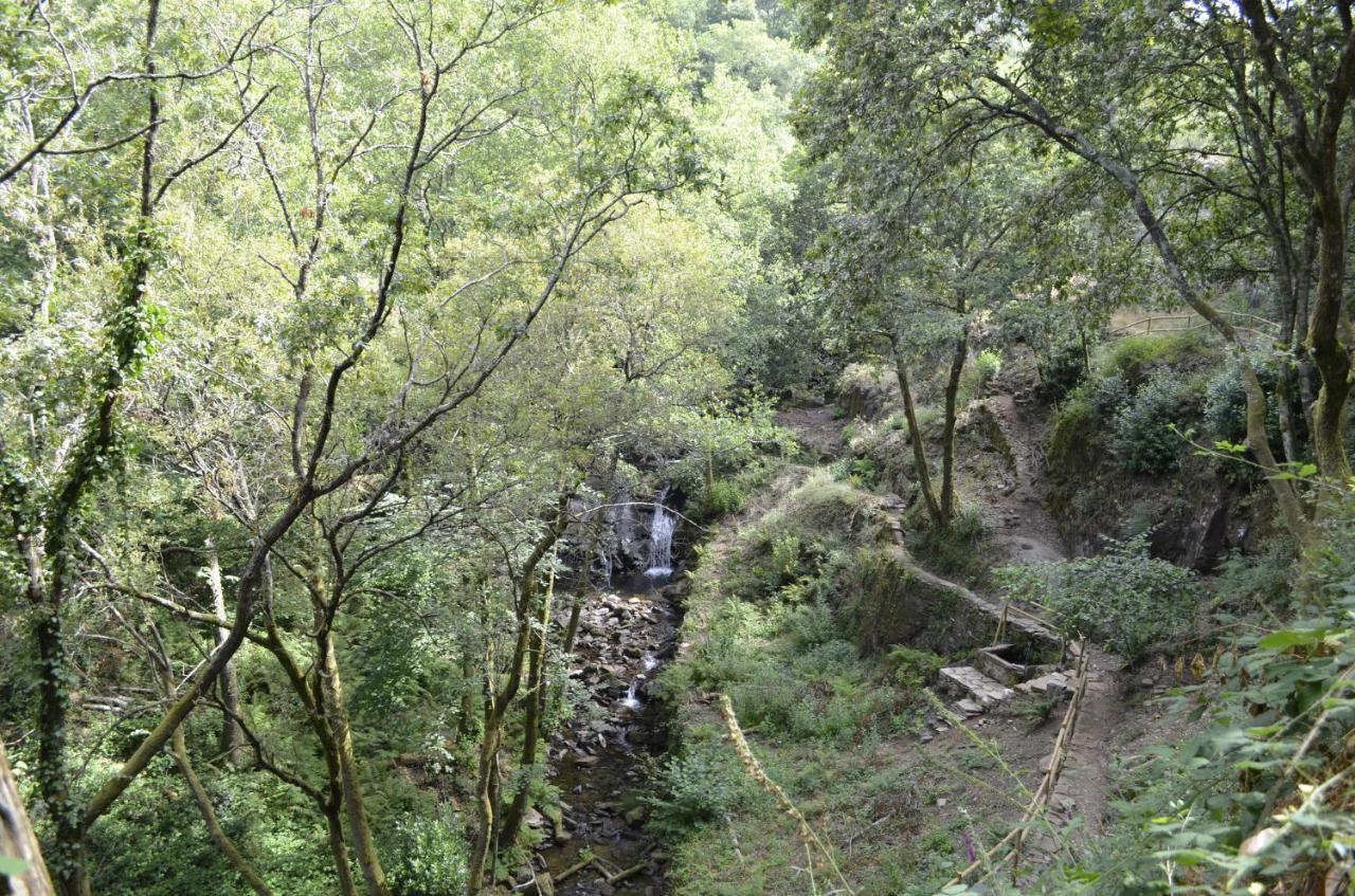 Encosta Do Douro - Rio Douro Villa Синфаес Екстериор снимка