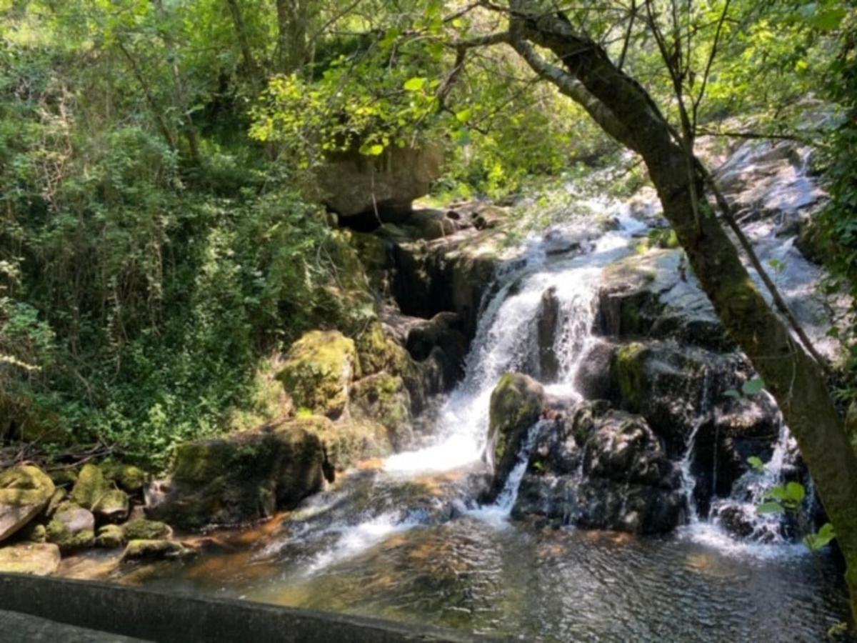 Encosta Do Douro - Rio Douro Villa Синфаес Екстериор снимка