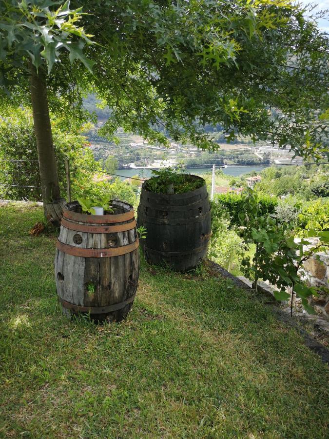 Encosta Do Douro - Rio Douro Villa Синфаес Екстериор снимка