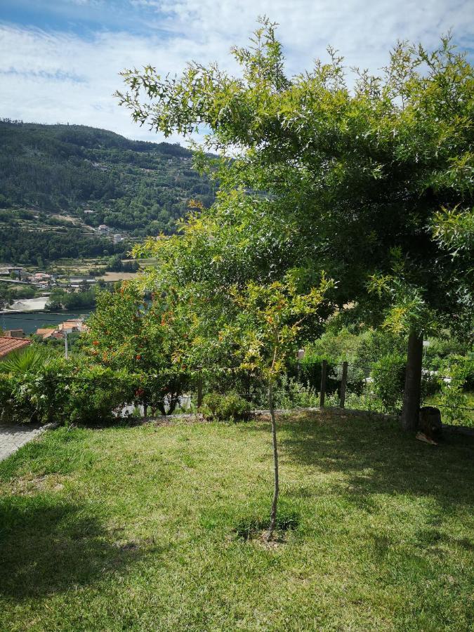 Encosta Do Douro - Rio Douro Villa Синфаес Екстериор снимка