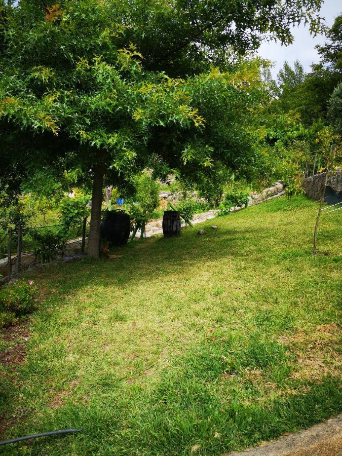 Encosta Do Douro - Rio Douro Villa Синфаес Екстериор снимка